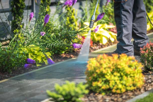 Best Gas Station Cleaning  in Harbour Heights, FL
